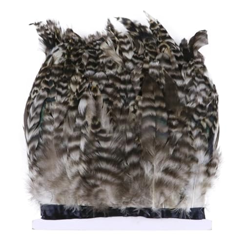 15–20 cm Hahn-/Hühnerfeder-Bordüre, Dekorationszubehör für Hochzeit, Handwerk, Dekoration, Handarbeit, Silber, 1 Meter 15–20 cm Hahn-/Hühnerfeder-Bordüre, Dekorationszubehör für Hochzeit, Handwerk, Dekoration, Handarbeit, Silber, 1 Meter von Generisch