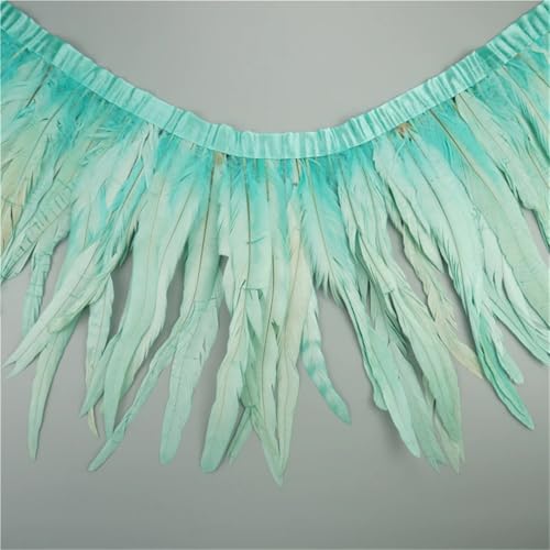2 Meter Hahnschwanz-Federbordüre, Handarbeitszubehör, farbige Fransen, Nähfedern, DIY, Urlaubsdekorationen, leicht, EN8, 30–35 cm 2 Meter Hahnschwanz-Federbordüre, Handarbeitszubehör, farbige Fransen, Nähfedern, DIY, Urlaubsdekorationen, leicht, EN8, 30–35 cm von Generisch
