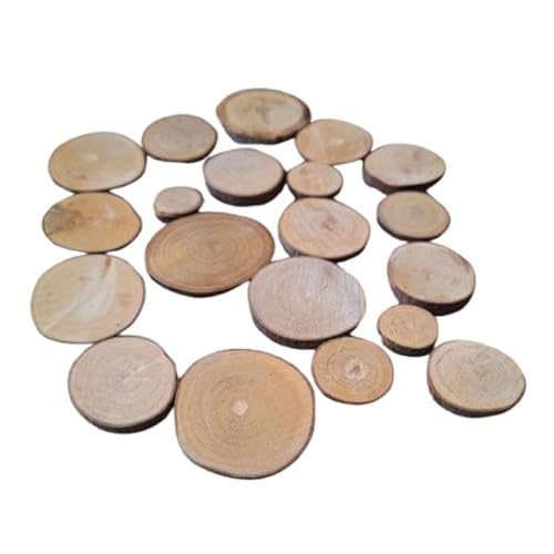ca. 80 Stk. Holzscheiben 2-5 cm Durchmesser ohne Loch, Baumscheiben rund zum Basteln, Runde Holzscheibe Untersetzer Holz Log, Kiefernholz Astscheiben Baumstamm Deko, DIY Rustikale Kerzenständer ca. 80 Stk. Holzscheiben 2-5 cm Durchmesser ohne Loch, Baumscheiben rund zum Basteln, Runde Holzscheibe Untersetzer Holz Log, Kiefernholz Astscheiben Baumstamm Deko, DIY Rustikale Kerzenständer von Generisch