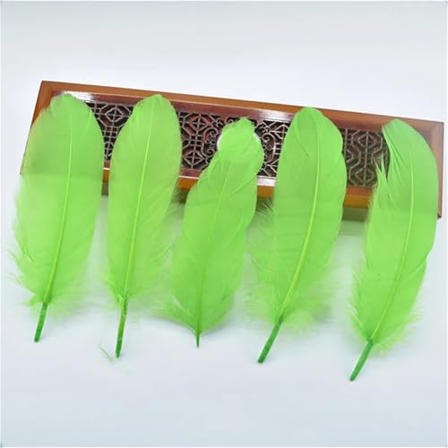 20 Stück harte Stangenfedern, 13–20 cm, für Tischaufsätze, DIY, Traumfänger-Zubehör und Handarbeiten von Generisch