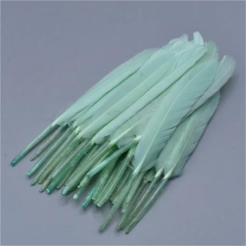 20 bis 100 Stück weiche Federn, 10–15 cm, in verschiedenen Farben, für Bastelzubehör und DIY-Schmuckherstellung 20 bis 100 Stück weiche Federn, 10–15 cm, in verschiedenen Farben, für Bastelzubehör und DIY-Schmuckherstellung von Generisch