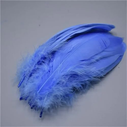 20 oder 100 Stück glatte Flügelfedern, 12–18 cm, für DIY-Kleidung, Hut und Schmuck-Bastelzubehör 20 oder 100 Stück glatte Flügelfedern, 12–18 cm, für DIY-Kleidung, Hut und Schmuck-Bastelzubehör von Generisch