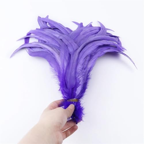 25–30 cm, natürlich, 100 % Fasanenfedern, Synthese für Kostüm, Party, Kleidung, Nähzubehör, Kopfschmuck, Dekor, Lila, 25–30 cm, 50 Stück 25–30 cm, natürlich, 100 % Fasanenfedern, Synthese für Kostüm, Party, Kleidung, Nähzubehör, Kopfschmuck, Dekor, Lila, 25–30 cm, 50 Stück von Generisch