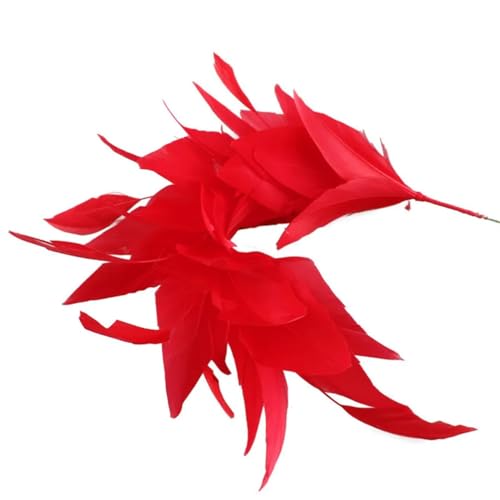 25–35 cm, bunt, gefärbte Gänsefedern, Zubehör, DIY, Hochzeitshüte, Dekorationen, Partykleidung, 1 Stück, Rot, ca. 25–35 cm von Generisch