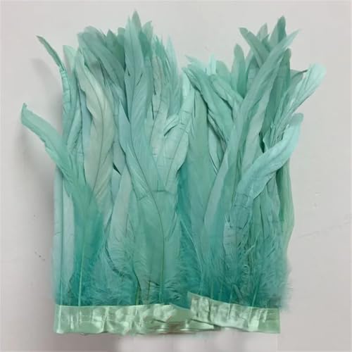 30–35 cm, Schwanzfedern, 10 m, Kleid, DIY-Zubehör für Bastelarbeiten, Band, 25–30 cm, Minze, EN8, 25–30 cm 30–35 cm, Schwanzfedern, 10 m, Kleid, DIY-Zubehör für Bastelarbeiten, Band, 25–30 cm, Minze, EN8, 25–30 cm von Generisch