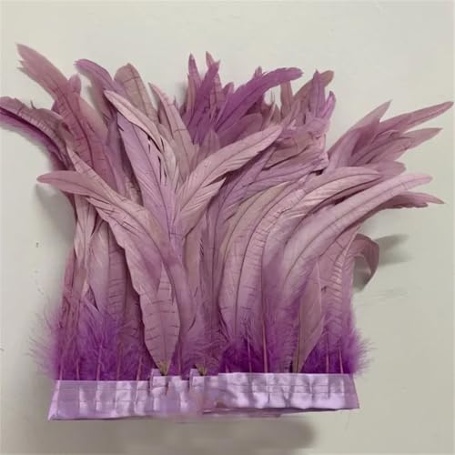 30–35 cm, Schwanzfedern, 10 m, Kleid, DIY-Zubehör für Bastelarbeiten, Band 25–30 cm, Hellviolett, 25–30 cm 30–35 cm, Schwanzfedern, 10 m, Kleid, DIY-Zubehör für Bastelarbeiten, Band 25–30 cm, Hellviolett, 25–30 cm von Generisch