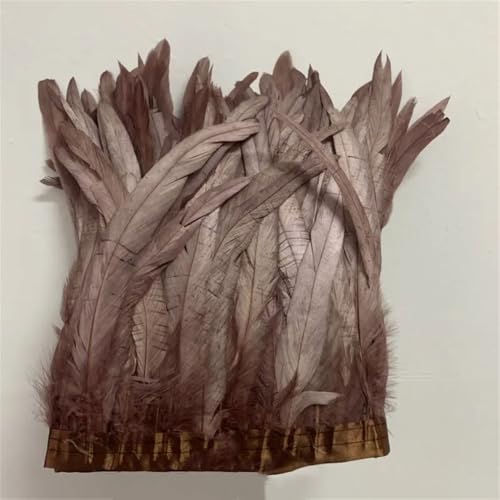30–35 cm, Schwanzfedern, 10 m, Kleid, DIY-Zubehör für Bastelarbeiten, Band 25–30 cm, Kaffee, 25–30 cm 30–35 cm, Schwanzfedern, 10 m, Kleid, DIY-Zubehör für Bastelarbeiten, Band 25–30 cm, Kaffee, 25–30 cm von Generisch