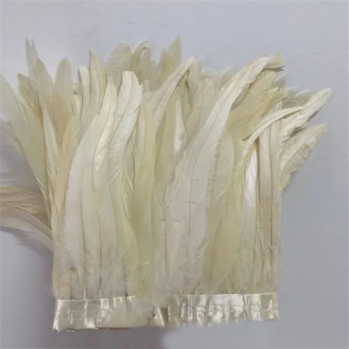 30–35 cm, Schwanzfedern, 10 m, Kleid, DIY-Zubehör für Bastelarbeiten, Band 25–30 cm, Weiß, 25–30 cm 30–35 cm, Schwanzfedern, 10 m, Kleid, DIY-Zubehör für Bastelarbeiten, Band 25–30 cm, Weiß, 25–30 cm von Generisch