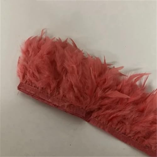 4–10 Meter, 10–15 cm, Truthahn-Federborten für Kleid, Hochzeitsdekorationen, Federspitzenbänder, Koralle, 4 m 4–10 Meter, 10–15 cm, Truthahn-Federborten für Kleid, Hochzeitsdekorationen, Federspitzenbänder, Koralle, 4 m von Generisch