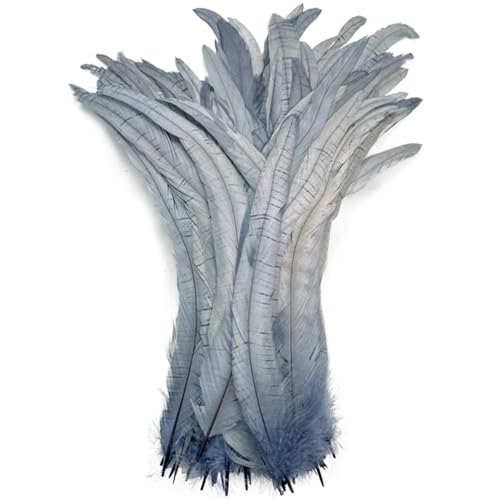 40–45 cm, natürliche Hahn-Schwanzfedern, billige Federn für Bastelarbeiten, Hochzeitsdekoration, DIY, Grau, 100 Stück 40–45 cm, natürliche Hahn-Schwanzfedern, billige Federn für Bastelarbeiten, Hochzeitsdekoration, DIY, Grau, 100 Stück von Generisch