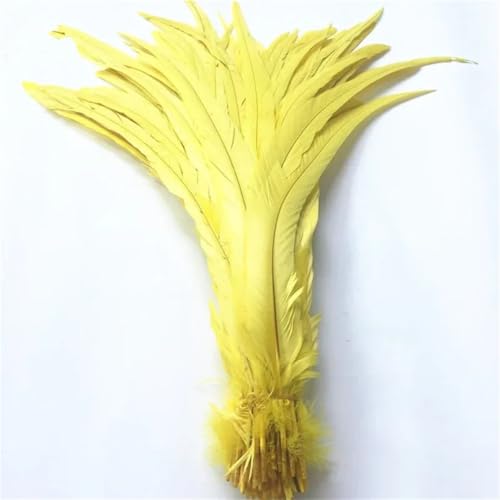 40-45 cm natürliche Hahn-Coque-Schwanzfedern, billige Federn zum Basteln, Hochzeitsdekoration, DIY, Gelb, 500 Stück 40-45 cm natürliche Hahn-Coque-Schwanzfedern, billige Federn zum Basteln, Hochzeitsdekoration, DIY, Gelb, 500 Stück von Generisch