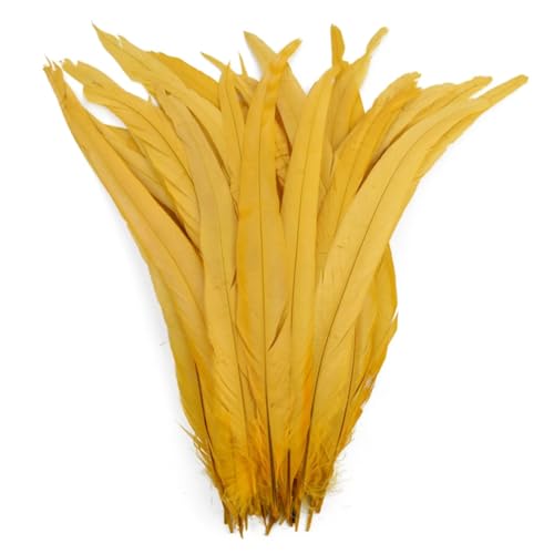 40-45 cm natürliche Hahn-Coque-Schwanzfedern, billige Federn zum Basteln, Hochzeitsdekoration, DIY, Goldgelb, 500 Stück 40-45 cm natürliche Hahn-Coque-Schwanzfedern, billige Federn zum Basteln, Hochzeitsdekoration, DIY, Goldgelb, 500 Stück von Generisch