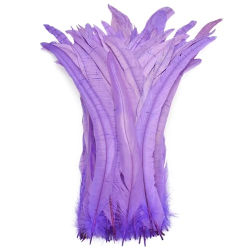 40-45 cm natürliche Hahn-Coque-Schwanzfedern, billige Federn zum Basteln, Hochzeitsdekoration, DIY, Hellviolett, 500 Stück 40-45 cm natürliche Hahn-Coque-Schwanzfedern, billige Federn zum Basteln, Hochzeitsdekoration, DIY, Hellviolett, 500 Stück von Generisch