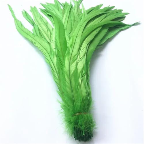 40-45 cm natürliche Hahn-Coque-Schwanzfedern, billige Federn zum Basteln, Hochzeitsdekoration, DIY, Obst, EN8, 500 Stück 40-45 cm natürliche Hahn-Coque-Schwanzfedern, billige Federn zum Basteln, Hochzeitsdekoration, DIY, Obst, EN8, 500 Stück von Generisch