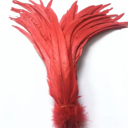 40-45 cm natürliche Hahn-Coque-Schwanzfedern, billige Federn zum Basteln, Hochzeitsdekoration, DIY, Rot, 500 Stück von Generisch