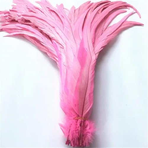 40-45 cm natürliche Hahn-Schwanzfedern, billige Federn für Bastelarbeiten, Hochzeitsdekoration, DIY, Pnnrk, 20 Stück 40-45 cm natürliche Hahn-Schwanzfedern, billige Federn für Bastelarbeiten, Hochzeitsdekoration, DIY, Pnnrk, 20 Stück von Generisch
