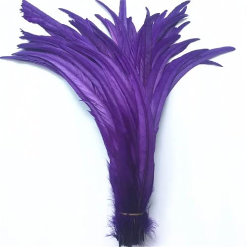 40-45 cm natürliche Hahn-Schwanzfedern, billige Federn zum Basteln, Hochzeitsdekoration, DIY, Lila, 20 Stück 40-45 cm natürliche Hahn-Schwanzfedern, billige Federn zum Basteln, Hochzeitsdekoration, DIY, Lila, 20 Stück von Generisch