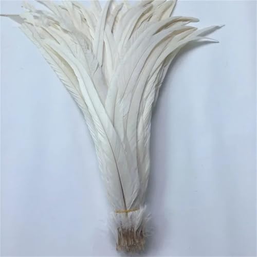 40-45 cm natürliche Hahn-Schwanzfedern, billige Federn zum Basteln, Hochzeitsdekoration, DIY, Weiß, 100 Stück 40-45 cm natürliche Hahn-Schwanzfedern, billige Federn zum Basteln, Hochzeitsdekoration, DIY, Weiß, 100 Stück von Generisch