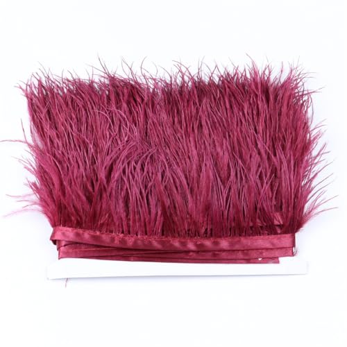 5/10 Meter Straußenfeder-Bordüre, Fransen 6–8 cm, Feder für Kleid, Kleidung, Dekoration, Nähen, Bastelzubehör, Weinrot, 10 Meter 5/10 Meter Straußenfeder-Bordüre, Fransen 6–8 cm, Feder für Kleid, Kleidung, Dekoration, Nähen, Bastelzubehör, Weinrot, 10 Meter von Generisch