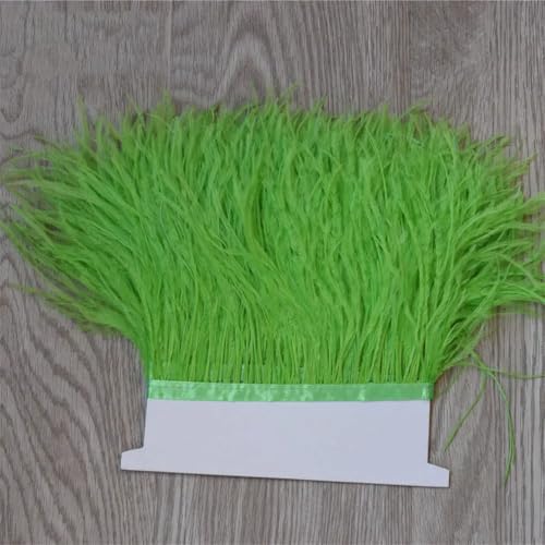 5-10 Meter Straußenband Feder Länge 8-11 Cm/DIY Kleidung Zubehör Nähen Handwerk Kleidung Dekoration DIY Obst EN8 10M 5-10 Meter Straußenband Feder Länge 8-11 Cm/DIY Kleidung Zubehör Nähen Handwerk Kleidung Dekoration DIY Obst EN8 10M von Generisch