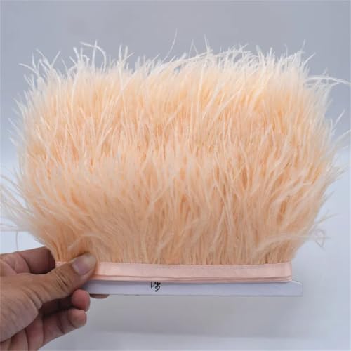 5-10 Meter Straußenband Feder Länge 8-11 cm / DIY Kleidung Zubehör Nähen Handwerk Kleidung Dekoration DIY Blutzahn 5M 5-10 Meter Straußenband Feder Länge 8-11 cm / DIY Kleidung Zubehör Nähen Handwerk Kleidung Dekoration DIY Blutzahn 5M von Generisch