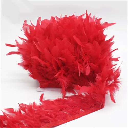 5–10 m lange Türkei-Federborte mit Fransen-Federband für Hochzeitskleid, Rock, DIY, rot, 10 m 5–10 m lange Türkei-Federborte mit Fransen-Federband für Hochzeitskleid, Rock, DIY, rot, 10 m von Generisch
