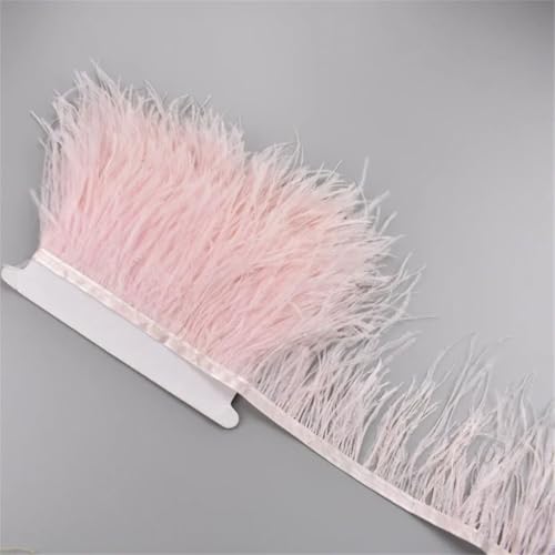 5 Meter Straußenfeder-Band, 10–15 cm, Quaste, Fransenborte, Nähen, Rock, Kleidung, Accessoires, Hochzeit, leicht, Pnnrk 5 Meter Straußenfeder-Band, 10–15 cm, Quaste, Fransenborte, Nähen, Rock, Kleidung, Accessoires, Hochzeit, leicht, Pnnrk von Generisch