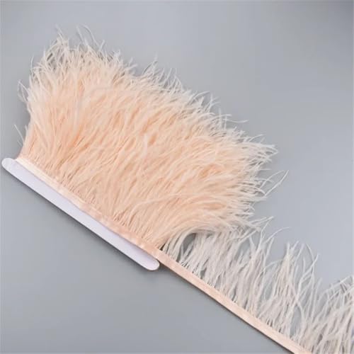 5 Meter Straußenfederband, 10–15 cm, Fransenborten zum Nähen von Rock, Kleidung, Accessoires, Hochzeit, Champagner 5 Meter Straußenfederband, 10–15 cm, Fransenborten zum Nähen von Rock, Kleidung, Accessoires, Hochzeit, Champagner von Generisch