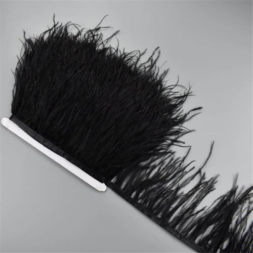 5 Meter Straußenfederband, 10–15 cm, Quaste, Fransenborte, Nähen, Rock, Kleidung, Accessoires, Hochzeit, Schwarz 5 Meter Straußenfederband, 10–15 cm, Quaste, Fransenborte, Nähen, Rock, Kleidung, Accessoires, Hochzeit, Schwarz von Generisch