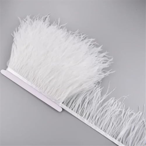 5 Meter Straußenfederband, 10–15 cm, Quaste, Fransenborte, Nähen, Rock, Kleidung, Accessoires, Hochzeit, Weiß 5 Meter Straußenfederband, 10–15 cm, Quaste, Fransenborte, Nähen, Rock, Kleidung, Accessoires, Hochzeit, Weiß von Generisch