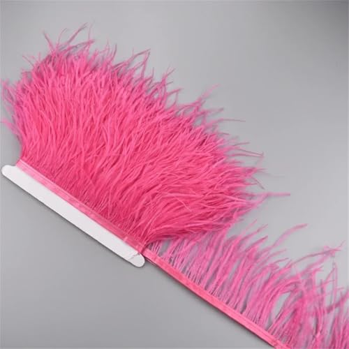 5 Meter Straußenfederband, 10–15 cm, Quaste, Fransenborten zum Nähen von Rock, Kleidung, Accessoires, Hochzeit, Wassermelonenrot 5 Meter Straußenfederband, 10–15 cm, Quaste, Fransenborten zum Nähen von Rock, Kleidung, Accessoires, Hochzeit, Wassermelonenrot von Generisch