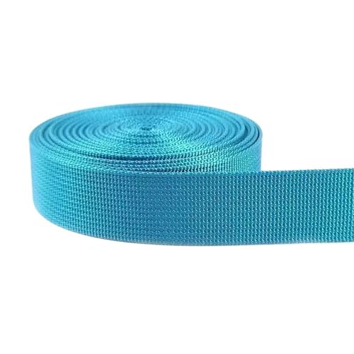5 m langes, dekoratives Nylon-Jacquard-Gurtband, 20–50 mm, für Nähen von Schultertaschengurten, Kleidergürteln, Schrägband, Bastelzubehör(Sky Blue,25mm) von Generisch