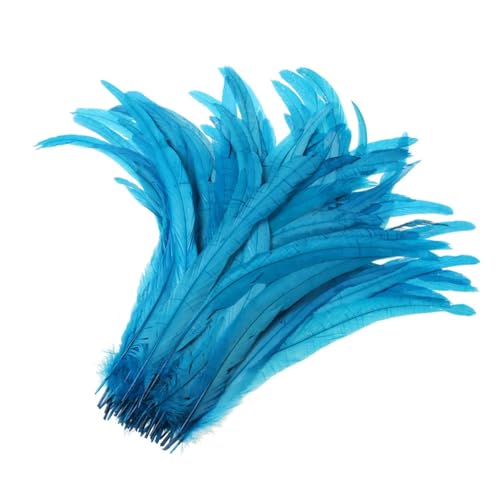 50-500 Stück Heiße Hahnschwanz-Federn 25–30 cm, Federn für Hochzeits- und Weihnachtsdekorationen, Basteln, Türkis, 25–30 cm, 500 Stück 50-500 Stück Heiße Hahnschwanz-Federn 25–30 cm, Federn für Hochzeits- und Weihnachtsdekorationen, Basteln, Türkis, 25–30 cm, 500 Stück von Generisch
