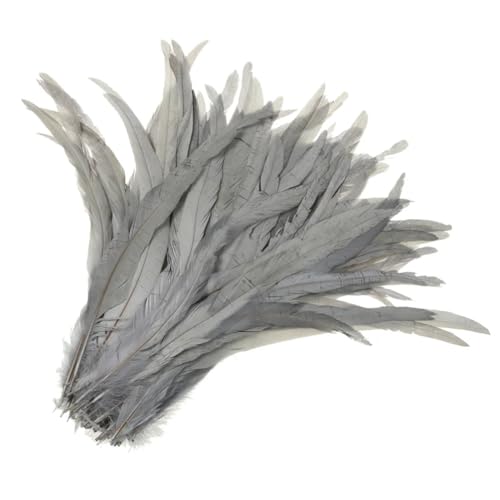 50–500 Stück Heiße Hahnschwanzfedern 25–30 cm, Federn für Hochzeits- und Weihnachtsdekorationen, Basteln, Grau, 25–30 cm, 50 Stück 50–500 Stück Heiße Hahnschwanzfedern 25–30 cm, Federn für Hochzeits- und Weihnachtsdekorationen, Basteln, Grau, 25–30 cm, 50 Stück von Generisch