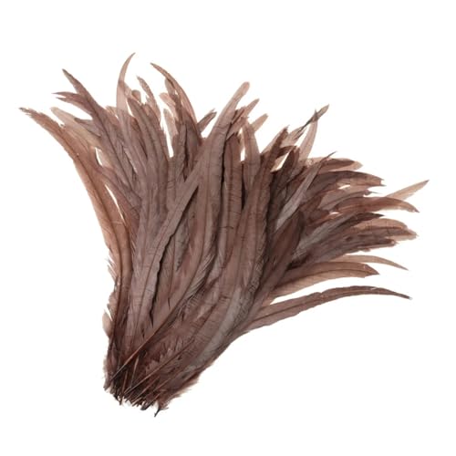 50-500 Stück Heißer Hahnschwanz-Feder, 25–30 cm, Federn für Hochzeits- und Weihnachtsdekorationen, Basteln, Braun, 25–30 cm, 500 Stück 50-500 Stück Heißer Hahnschwanz-Feder, 25–30 cm, Federn für Hochzeits- und Weihnachtsdekorationen, Basteln, Braun, 25–30 cm, 500 Stück von Generisch