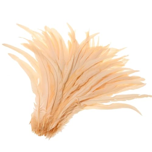50-500 Stück Heißer Hahnschwanz-Feder, 25–30 cm, Federn für Hochzeits- und Weihnachtsdekorationen, Basteln, Champagner, 25–30 cm, 500 Stück 50-500 Stück Heißer Hahnschwanz-Feder, 25–30 cm, Federn für Hochzeits- und Weihnachtsdekorationen, Basteln, Champagner, 25–30 cm, 500 Stück von Generisch