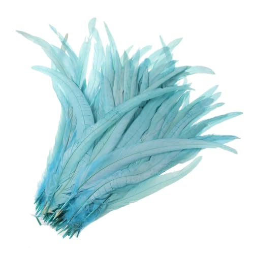 50-500 Stück Heißer Hahnschwanz-Feder, 25–30 cm, Federn für Hochzeits- und Weihnachtsdekorationen, Basteln, Himmelblau, 25–30 cm, 500 Stück 50-500 Stück Heißer Hahnschwanz-Feder, 25–30 cm, Federn für Hochzeits- und Weihnachtsdekorationen, Basteln, Himmelblau, 25–30 cm, 500 Stück von Generisch