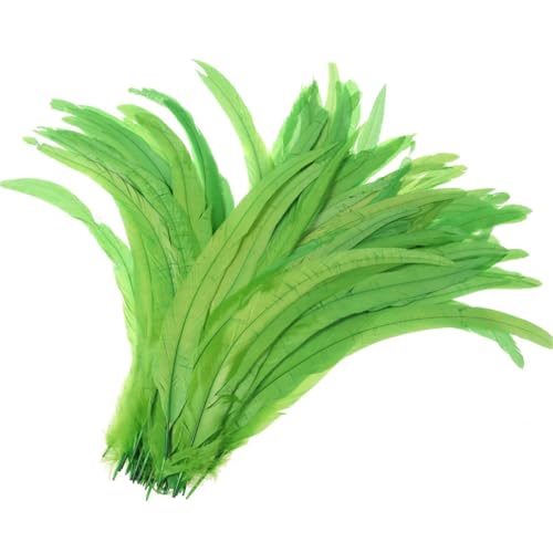 50–500 Stück Heißer Hahnschwanz-Feder, 25–30 cm, Federn für Hochzeits- und Weihnachtsdekorationen, Basteln, Obst, EN8, 25–30 cm, 500 Stück 50–500 Stück Heißer Hahnschwanz-Feder, 25–30 cm, Federn für Hochzeits- und Weihnachtsdekorationen, Basteln, Obst, EN8, 25–30 cm, 500 Stück von Generisch