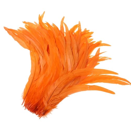 50-500 Stück Heißer Hahnschwanz-Feder, 25–30 cm, Federn für Hochzeits- und Weihnachtsdekorationen, Basteln, Orange, 25–30 cm, 500 Stück 50-500 Stück Heißer Hahnschwanz-Feder, 25–30 cm, Federn für Hochzeits- und Weihnachtsdekorationen, Basteln, Orange, 25–30 cm, 500 Stück von Generisch