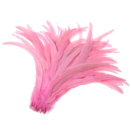 50–500 Stück Heißer Hahnschwanz-Feder, 25–30 cm, Federn für Hochzeits- und Weihnachtsdekorationen, Basteln, Pnnrk, 25–30 cm, 500 Stück 50–500 Stück Heißer Hahnschwanz-Feder, 25–30 cm, Federn für Hochzeits- und Weihnachtsdekorationen, Basteln, Pnnrk, 25–30 cm, 500 Stück von Generisch