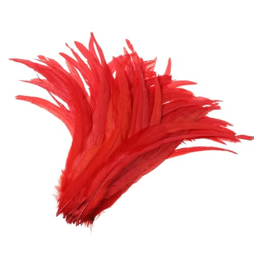 50-500 Stück Heißer Hahnschwanz-Feder, 25–30 cm, Federn für Hochzeits- und Weihnachtsdekorationen, Basteln, Rot, 25–30 cm, 500 Stück 50-500 Stück Heißer Hahnschwanz-Feder, 25–30 cm, Federn für Hochzeits- und Weihnachtsdekorationen, Basteln, Rot, 25–30 cm, 500 Stück von Generisch