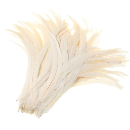50–500 Stück Heißer Hahnschwanz-Feder, 25–30 cm, Federn für Hochzeits- und Weihnachtsdekorationen, Basteln, rohes Weiß, 25–30 cm, 500 Stück 50–500 Stück Heißer Hahnschwanz-Feder, 25–30 cm, Federn für Hochzeits- und Weihnachtsdekorationen, Basteln, rohes Weiß, 25–30 cm, 500 Stück von Generisch