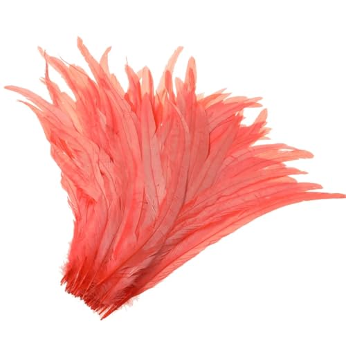 50-500 Stück Hot Rooster Tails Federn 25-30 cm Federn für Hochzeit & Weihnachten Dekorationen Handwerk Koralle 25-30 cm 500 Stück 50-500 Stück Hot Rooster Tails Federn 25-30 cm Federn für Hochzeit & Weihnachten Dekorationen Handwerk Koralle 25-30 cm 500 Stück von Generisch