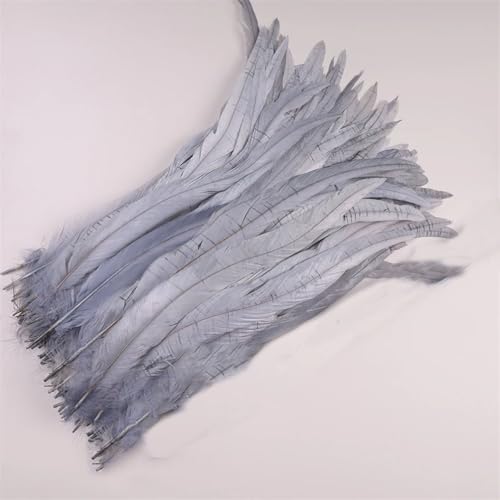 50 Stück 35–40 cm Hahnschwanzfedern zum Basteln, Karnevals-Zubehör, Dekoration, Feder-Kopfschmuck, Grau, 40–45 cm, 50 Stück 50 Stück 35–40 cm Hahnschwanzfedern zum Basteln, Karnevals-Zubehör, Dekoration, Feder-Kopfschmuck, Grau, 40–45 cm, 50 Stück von Generisch