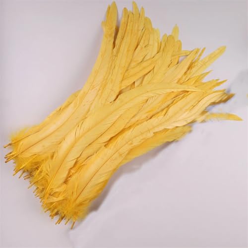 50 Stück 35-40 cm Hahnschwanzfedern zum Basteln Karneval Zubehör Dekoration Feder Kopfschmuck Goldgelb 35-40 cm 500 Stück 50 Stück 35-40 cm Hahnschwanzfedern zum Basteln Karneval Zubehör Dekoration Feder Kopfschmuck Goldgelb 35-40 cm 500 Stück von Generisch