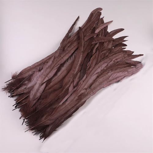 50 Stück 35-40 cm Hahnschwanzfedern zum Basteln Karneval Zubehör Dekoration Feder Kopfschmuck Kaffee 35-40 cm 500 Stück 50 Stück 35-40 cm Hahnschwanzfedern zum Basteln Karneval Zubehör Dekoration Feder Kopfschmuck Kaffee 35-40 cm 500 Stück von Generisch