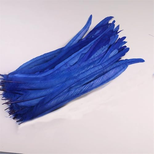 50 Stück 35-40 cm Hahnschwanzfedern zum Basteln Karneval Zubehör Dekoration Feder Kopfschmuck Königsblau 35-40 cm 500 Stück 50 Stück 35-40 cm Hahnschwanzfedern zum Basteln Karneval Zubehör Dekoration Feder Kopfschmuck Königsblau 35-40 cm 500 Stück von Generisch