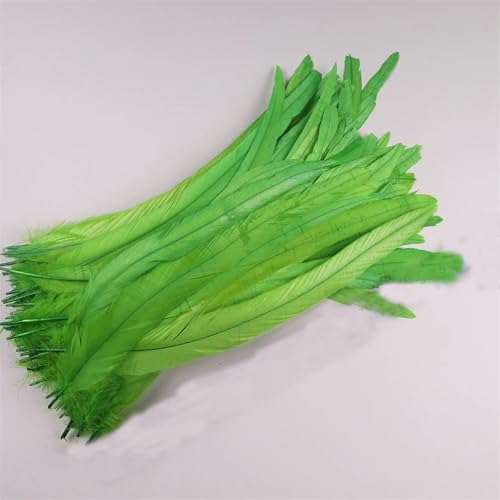 50 Stück 35-40 cm Hahnschwanzfedern zum Basteln Karneval Zubehör Dekoration Feder Kopfschmuck Limette EN8 35-40 50 Stück 50 Stück 35-40 cm Hahnschwanzfedern zum Basteln Karneval Zubehör Dekoration Feder Kopfschmuck Limette EN8 35-40 50 Stück von Generisch
