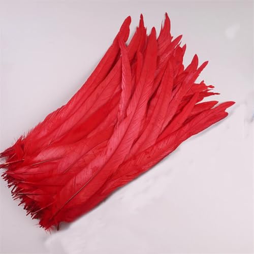 50 Stück 35-40 cm Hahnschwanzfedern zum Basteln Karneval Zubehör Dekoration Feder Kopfschmuck Rot 35-40 cm 500 Stück 50 Stück 35-40 cm Hahnschwanzfedern zum Basteln Karneval Zubehör Dekoration Feder Kopfschmuck Rot 35-40 cm 500 Stück von Generisch