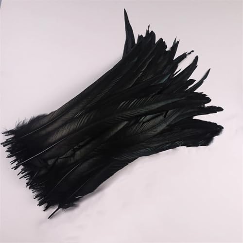 50 Stück 35-40 cm Hahnschwanzfedern zum Basteln Karneval Zubehör Dekoration Feder Kopfschmuck Schwarz 35-40 cm 500 Stück 50 Stück 35-40 cm Hahnschwanzfedern zum Basteln Karneval Zubehör Dekoration Feder Kopfschmuck Schwarz 35-40 cm 500 Stück von Generisch